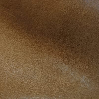 Mont Blanc Sycamore